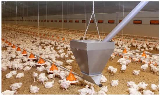 Feeding Systems