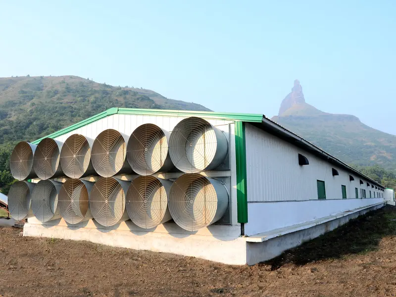 Breeder Farms