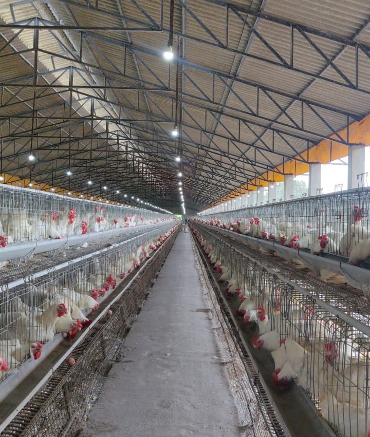 Hatcheries